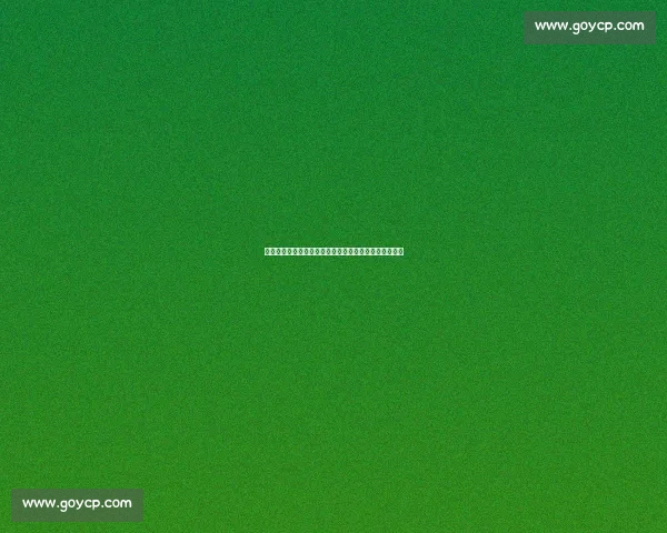 韩旭张子宇双塔制霸！中国女篮力克日本内线统治力彰显